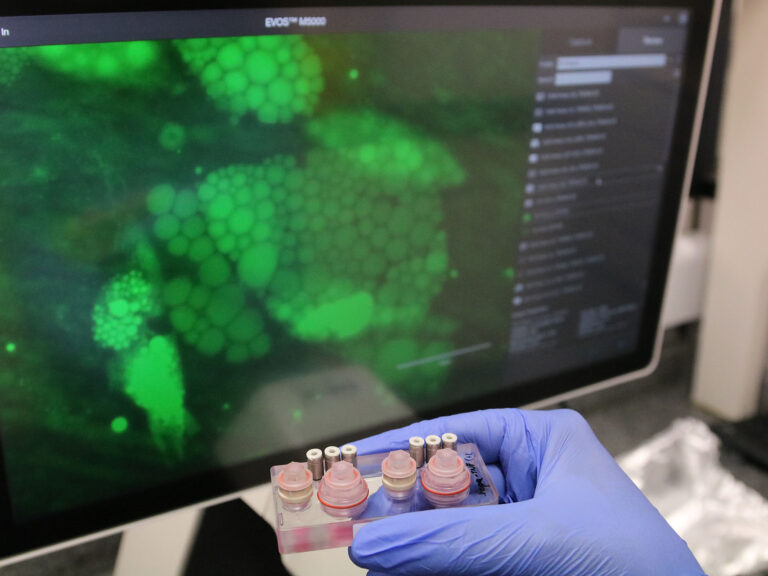 Tecnologias em saúde_engenharia de tecidos