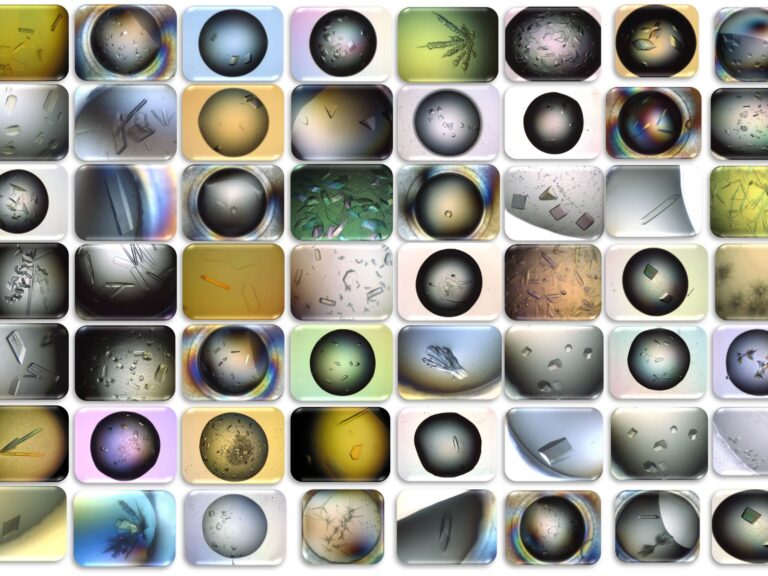 biomoleculas-galeria cristais-min