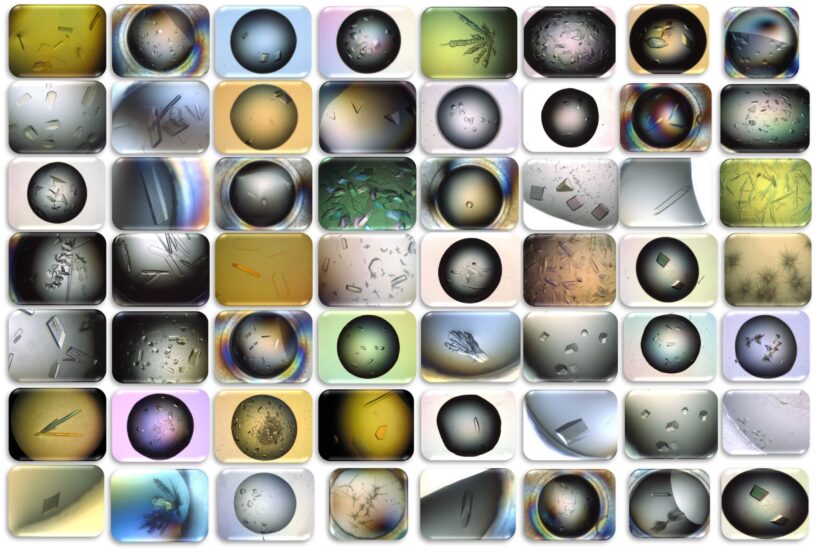 biomoleculas-galeria cristais-min