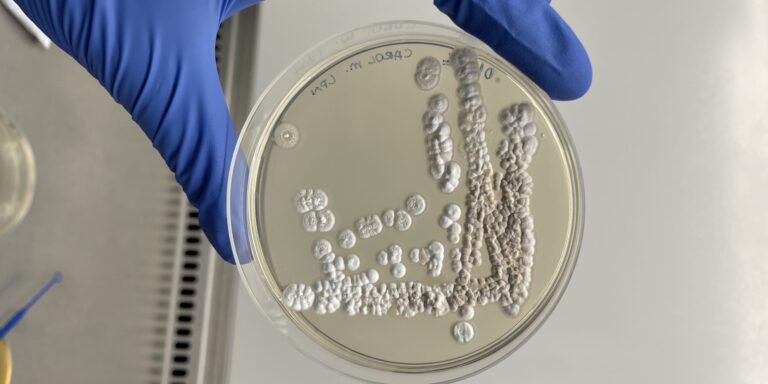 noticias_generica_lnbio-premio-genetica-2023-scaled