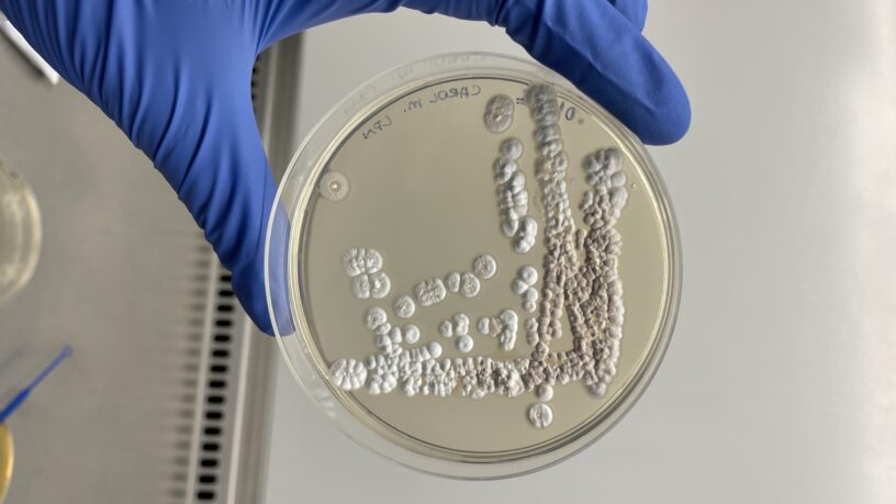 noticias_generica_lnbio-premio-genetica-2023-scaled