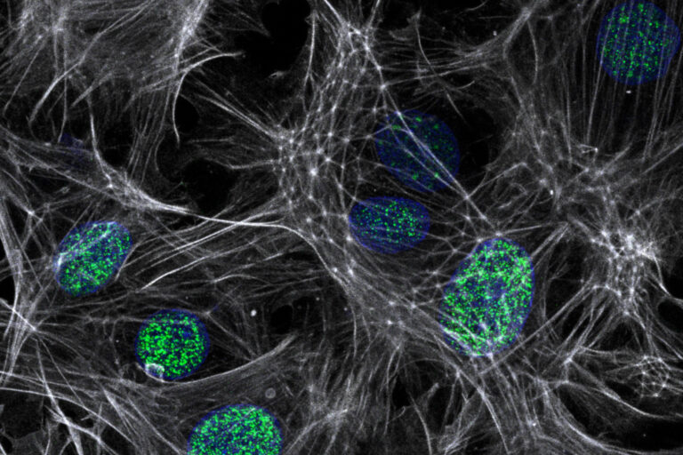 Descoberta e Validacao de Alvos