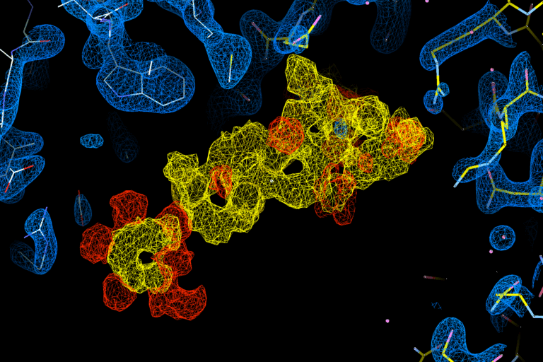 Farmacologia Molecular-SiteImage2